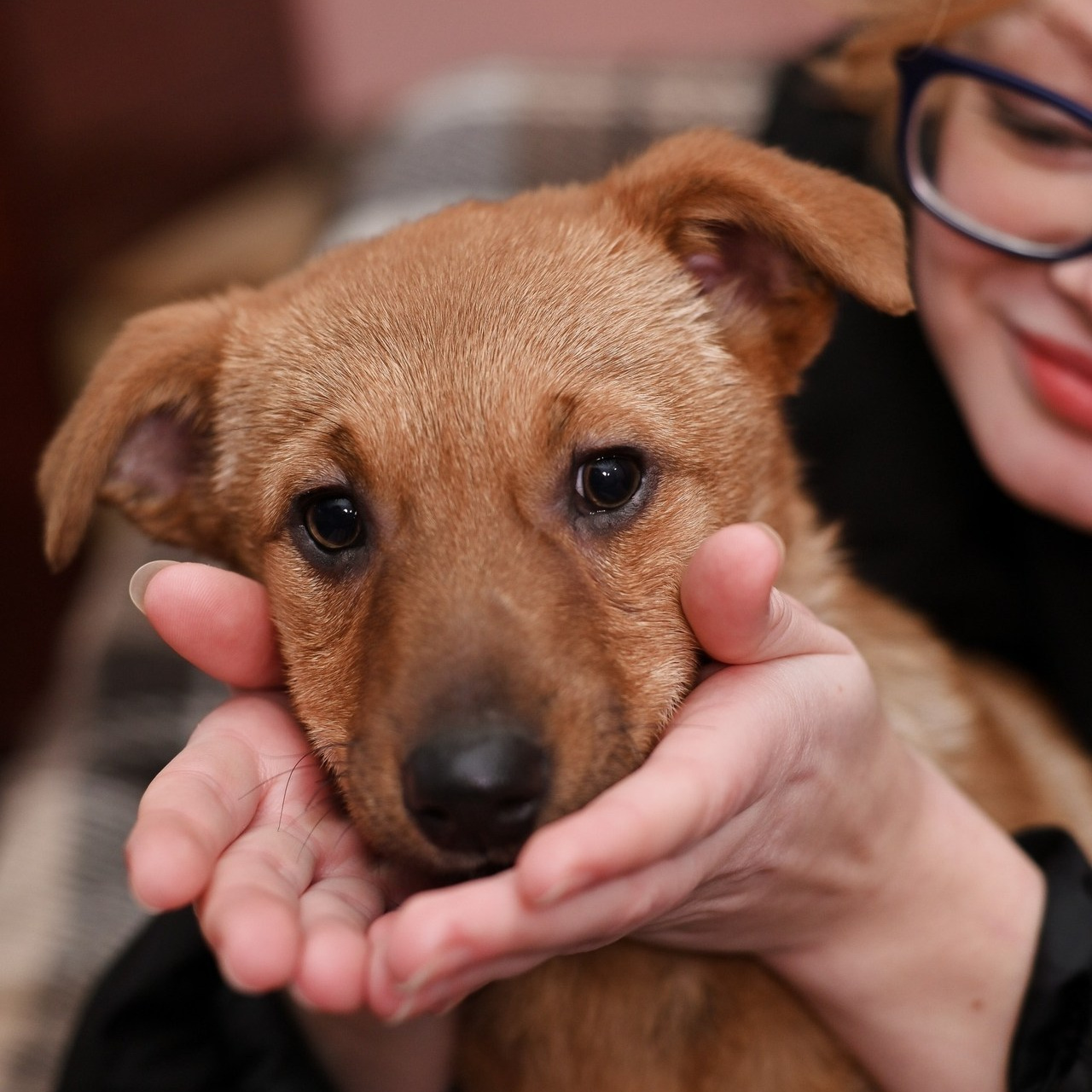 Отзывы. Детский и семейный фотограф Алёна Васильева