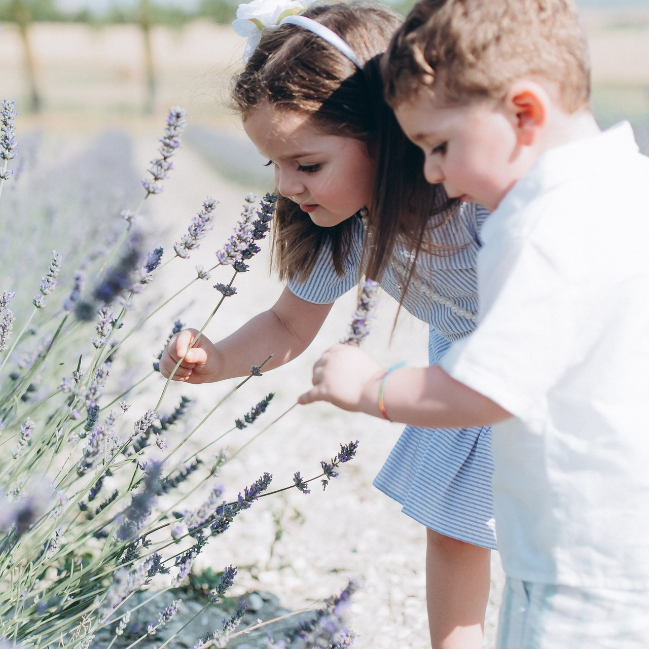 Отзывы клиентов. Ciao, benvenuta! Sono Anastasia la vostra fotografa per il matrimonio