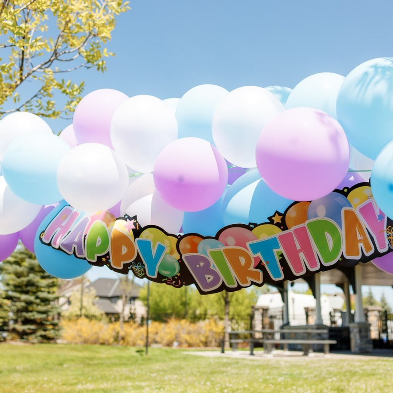 Reviews. Photographer Calgary