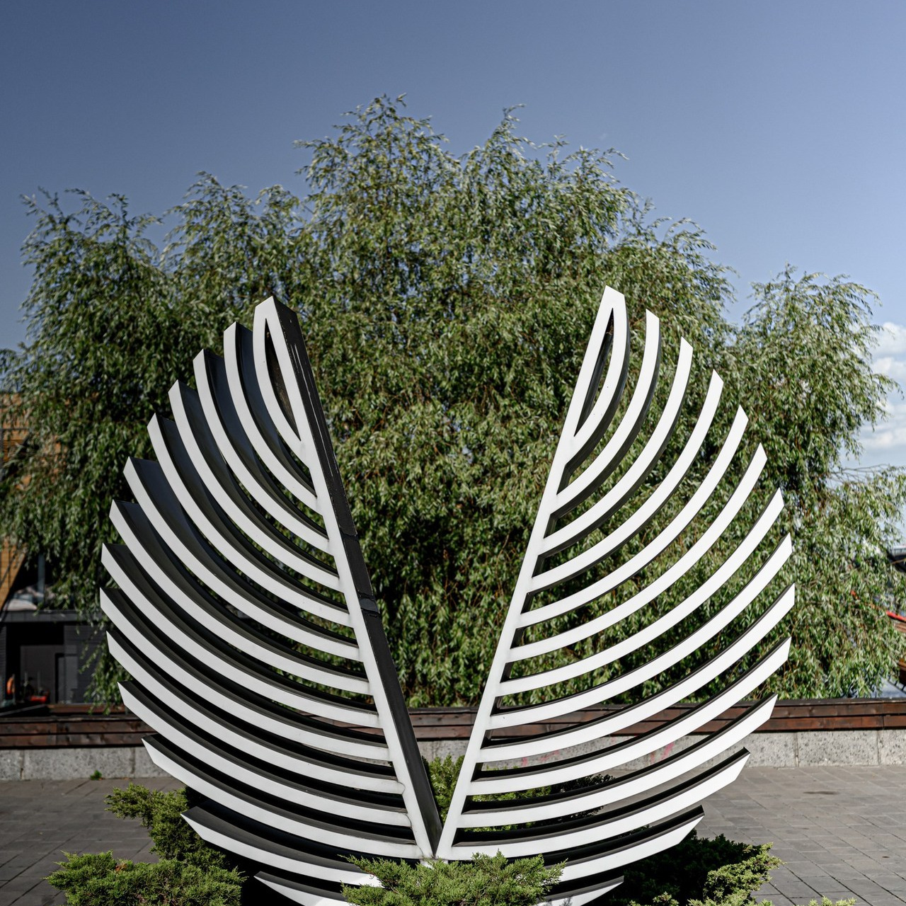 FEEDBACK. Свадебный и семейный фотограф