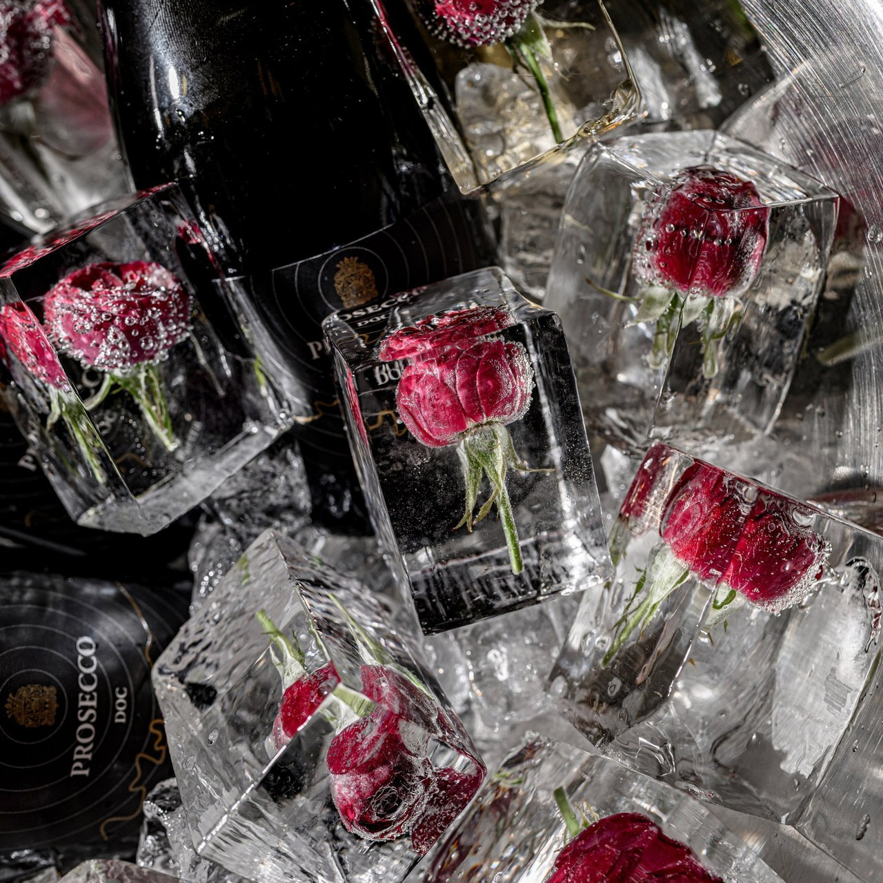 FEEDBACK. Свадебный и семейный фотограф