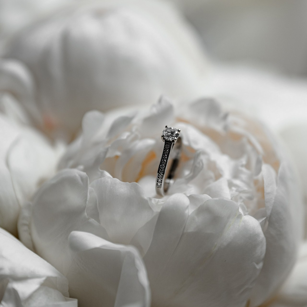 FEEDBACK. Свадебный и семейный фотограф