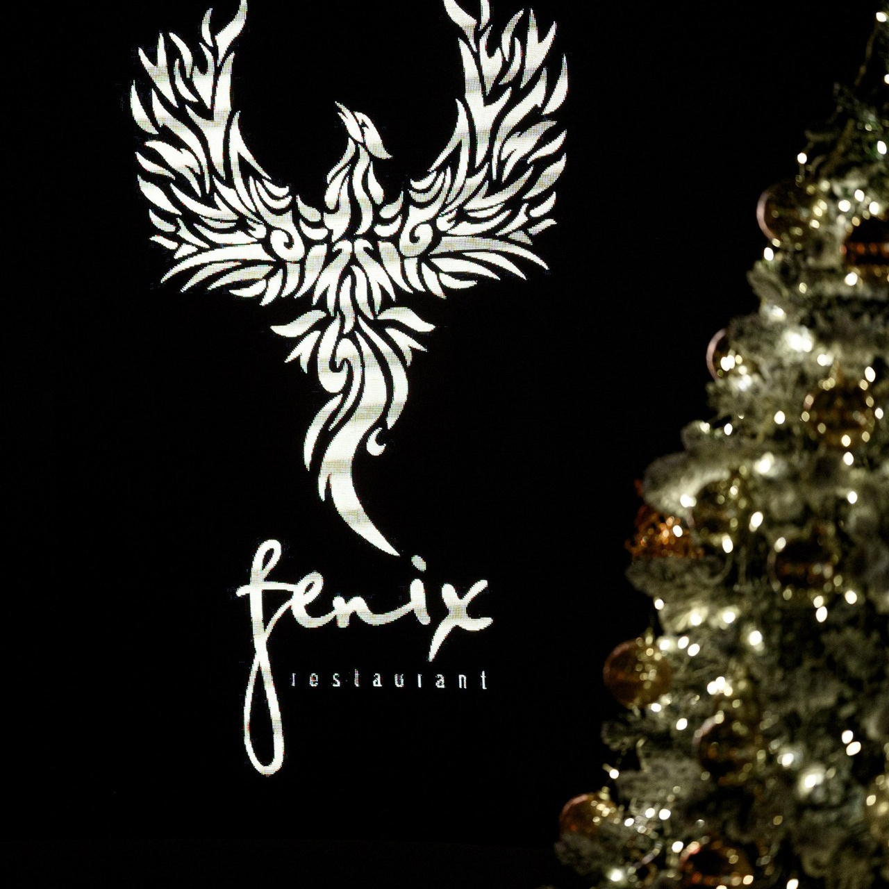 FEEDBACK. Свадебный и семейный фотограф