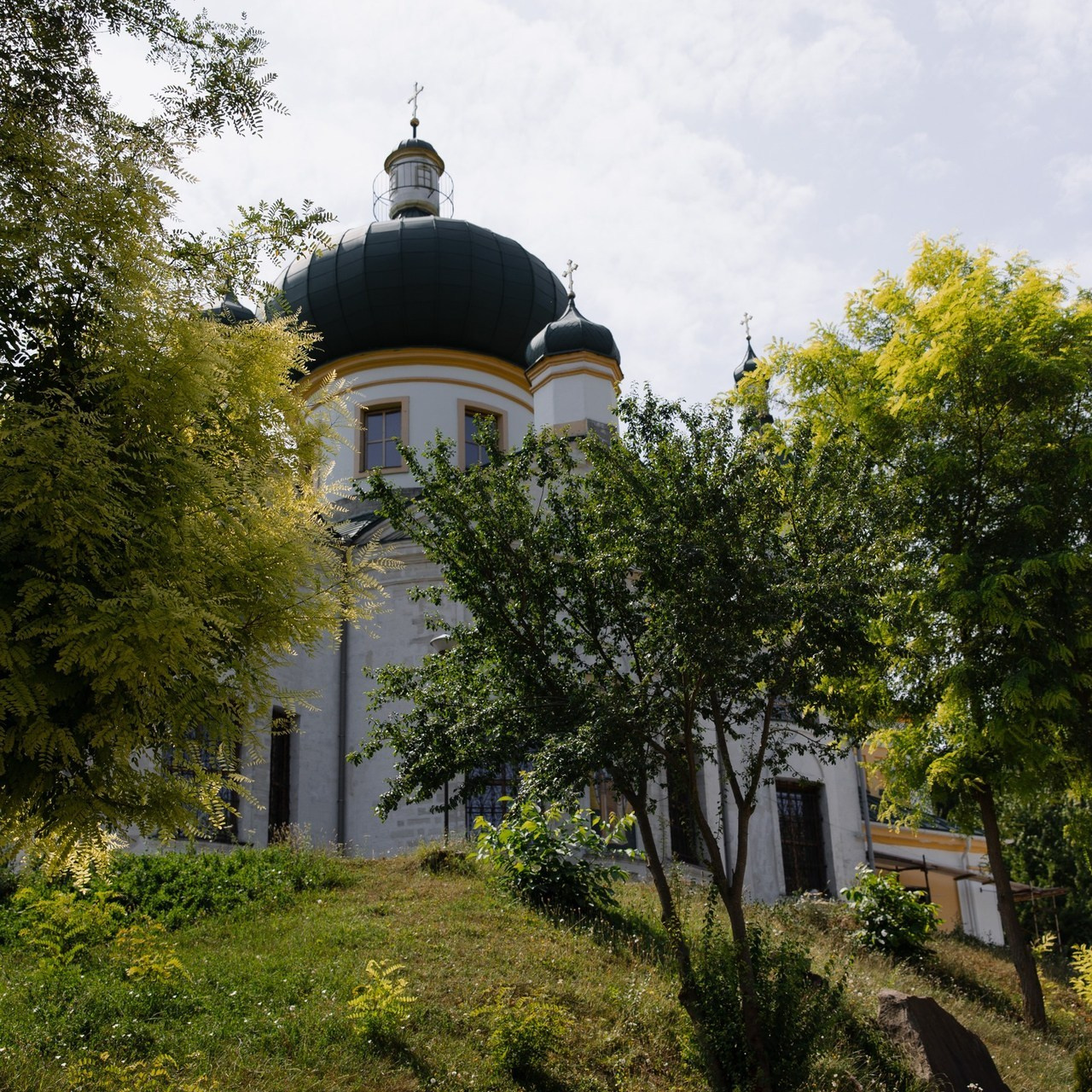 My clients Feedback. Main