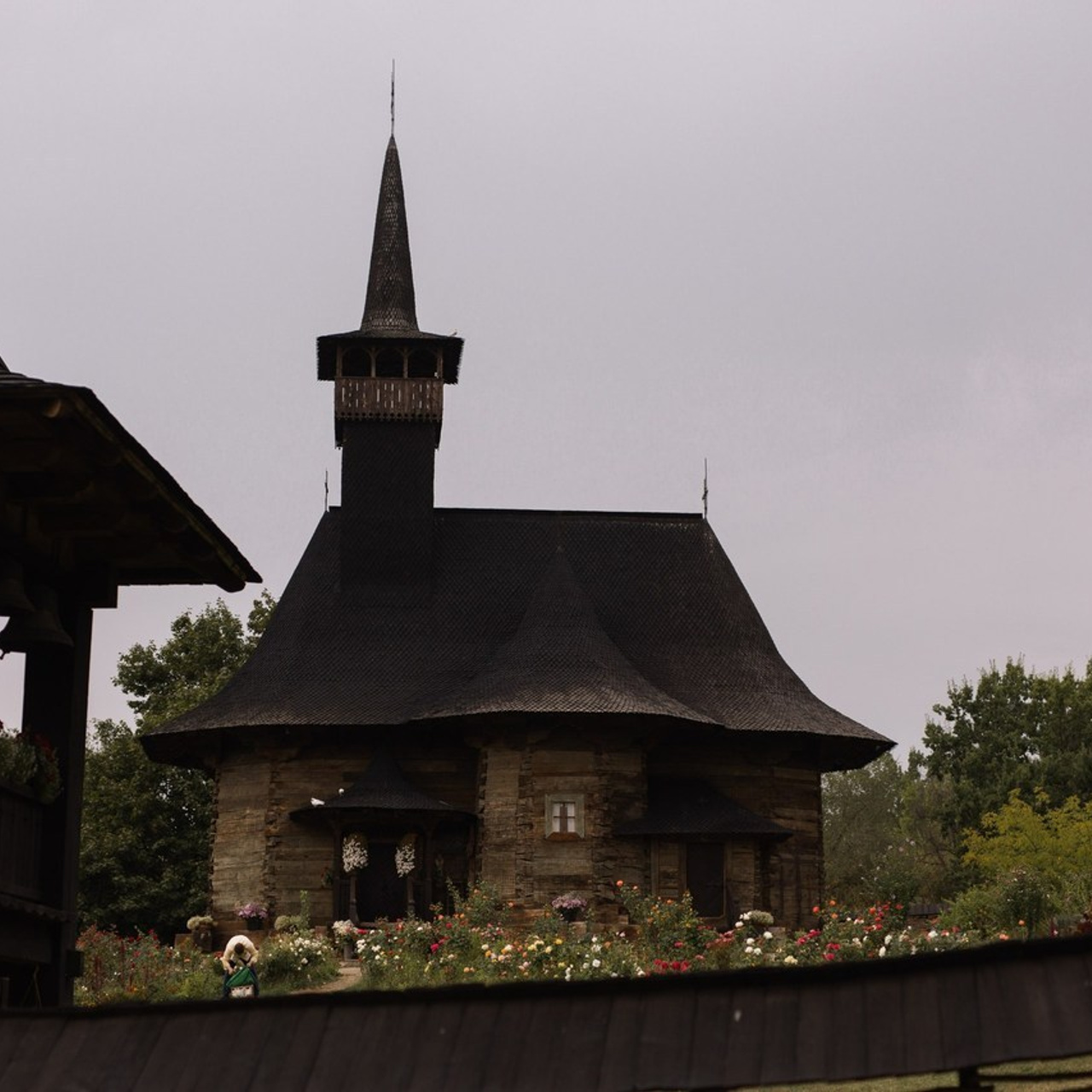 My clients Feedback. Main