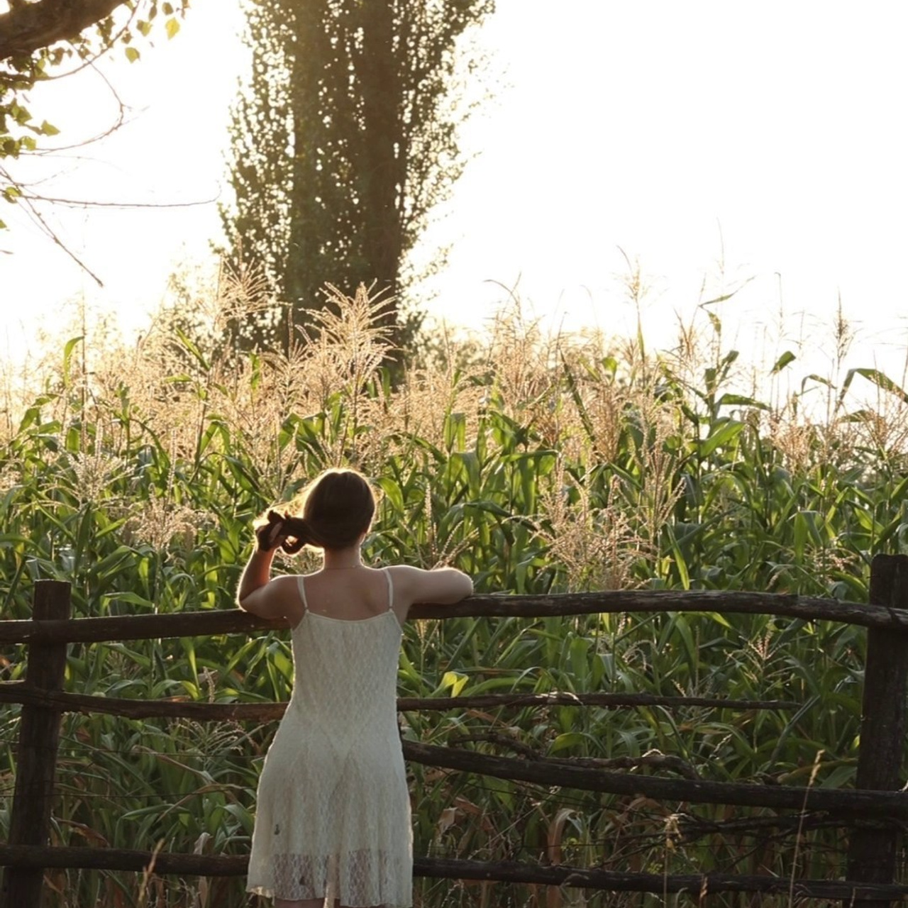 Відгуки. Кожне фото - це історія, про яку я розповідаю без слів