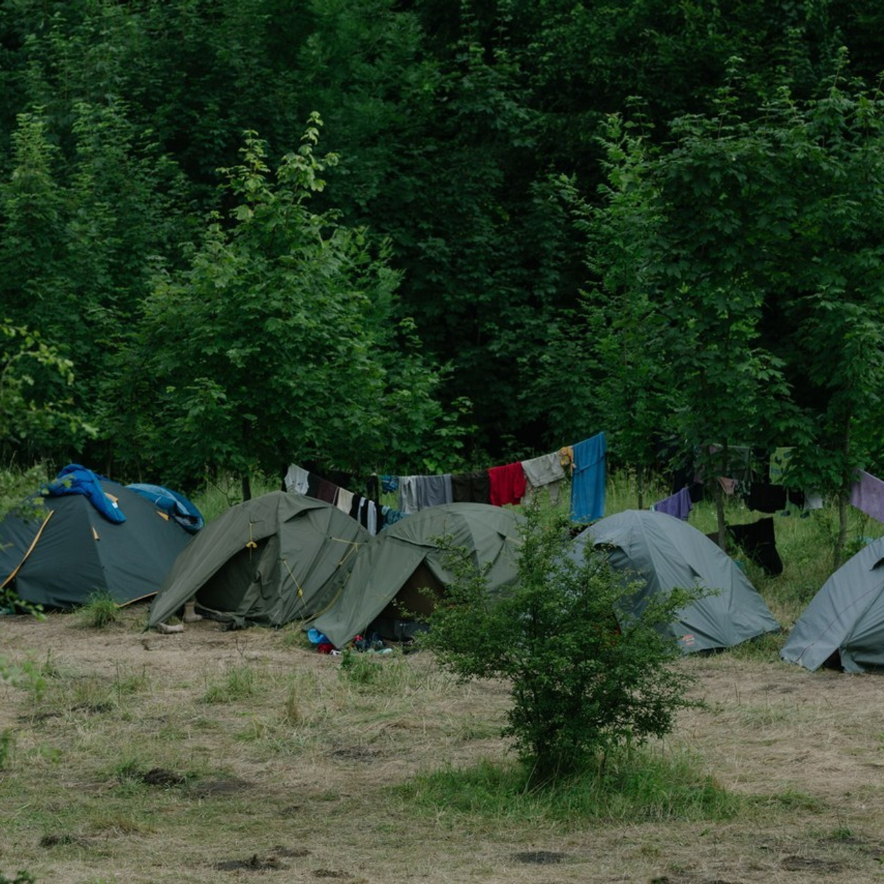 Відгуки фотограф Золочів Роман Жосу. Фотограф Роман Жосу Золочів