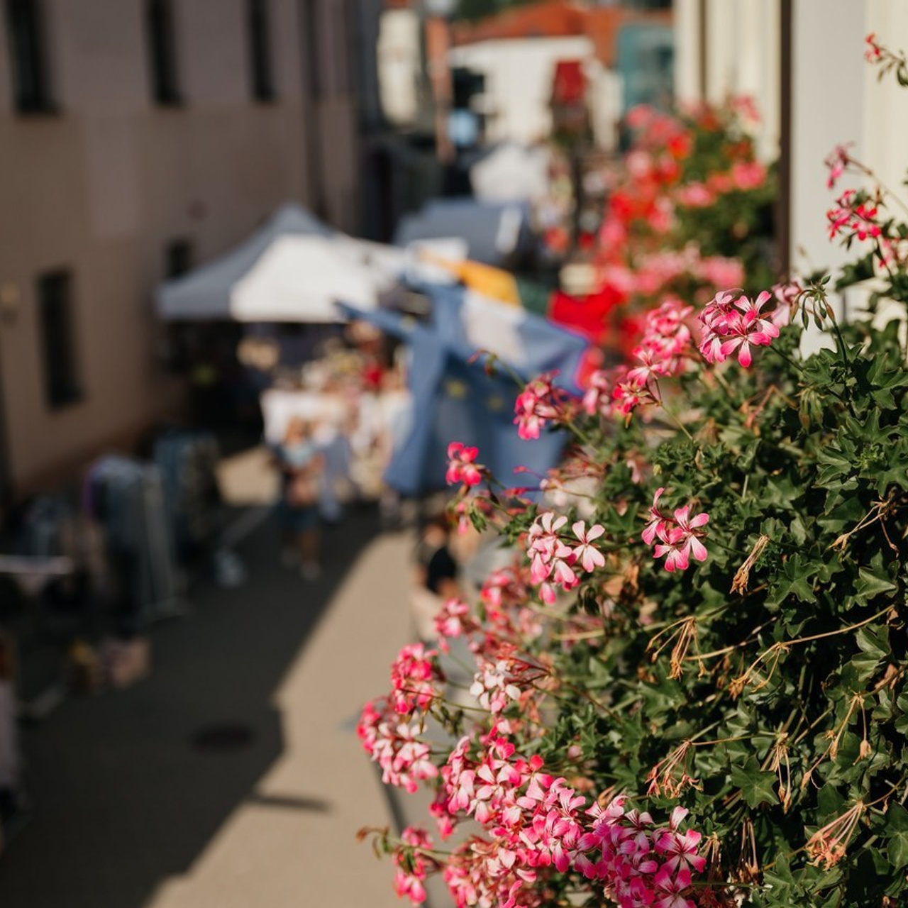 Отзывы. Vestuvių nuotraukos ir video Lietuvoje