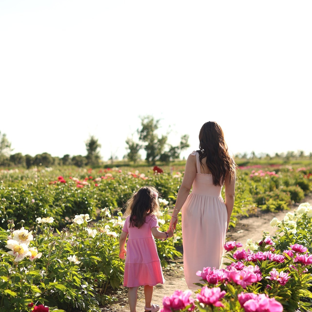 REVIEWS. Affordable Photographer in Calgary — Tetiana Shuhai