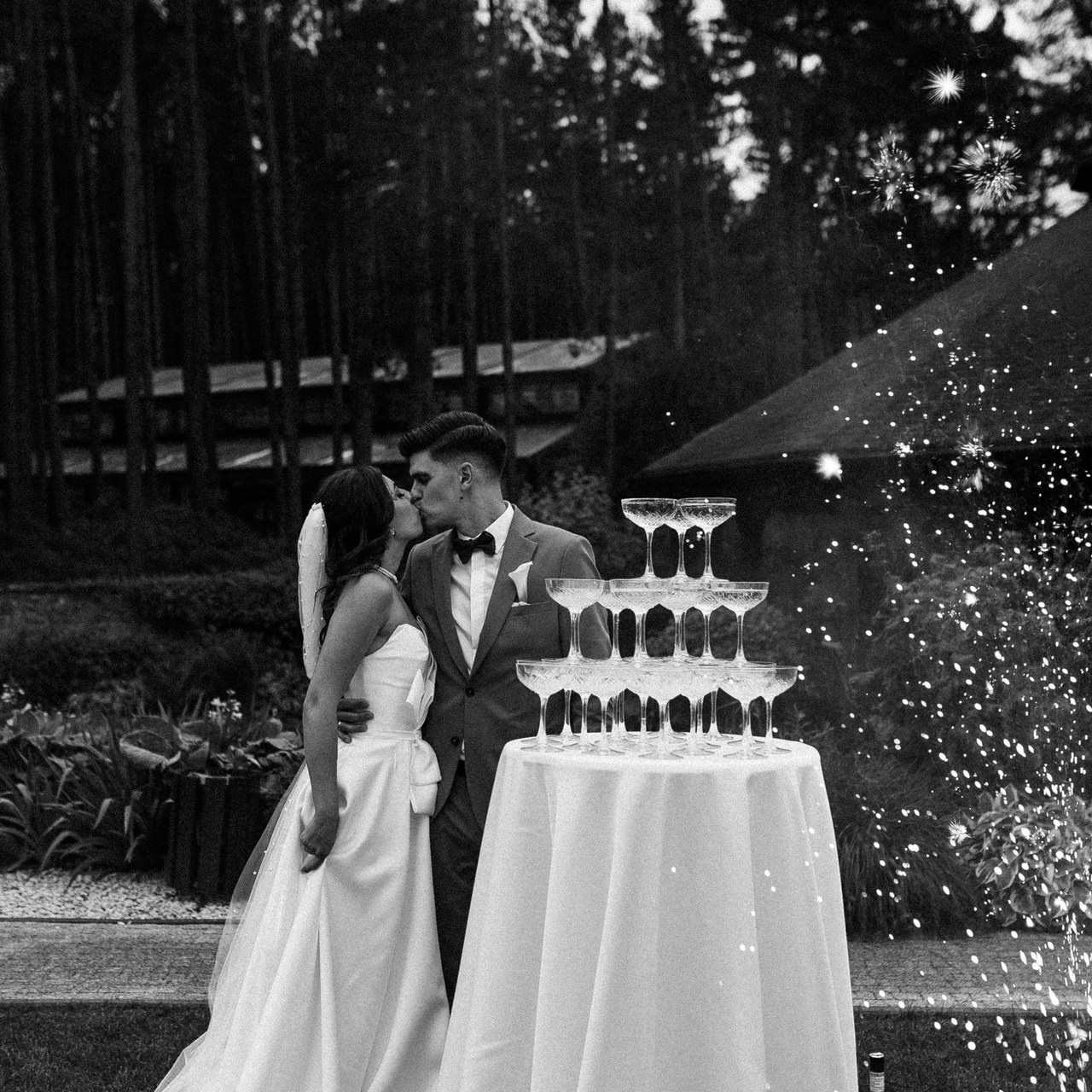 Reviews. Photographer