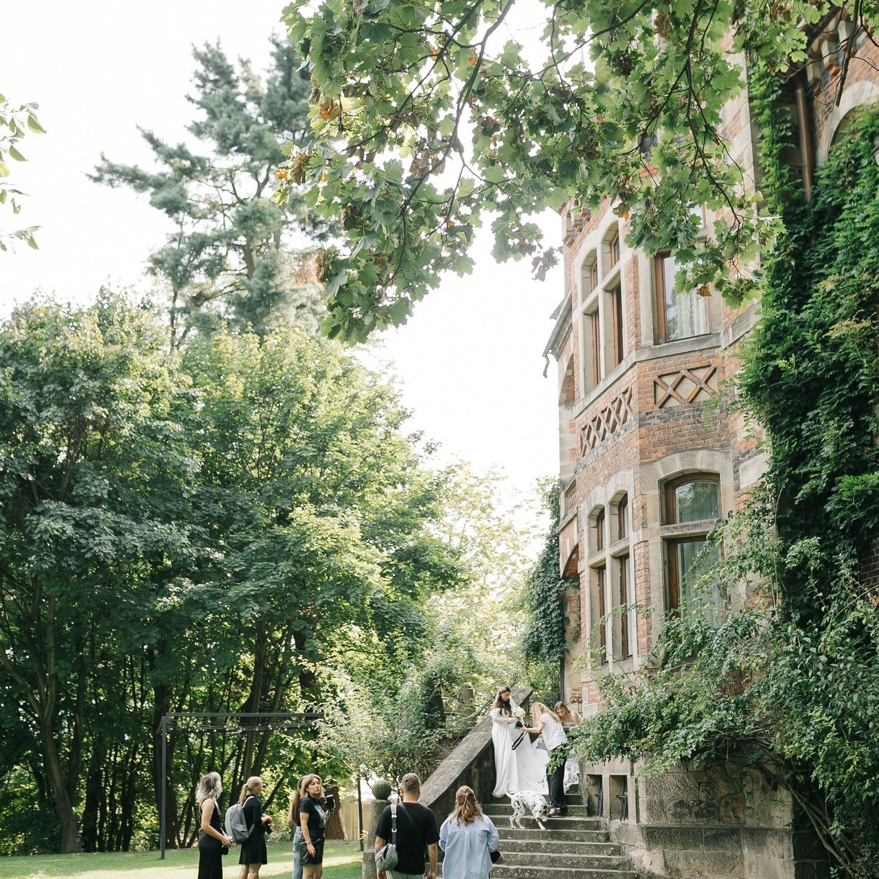 Reviews. Photographer