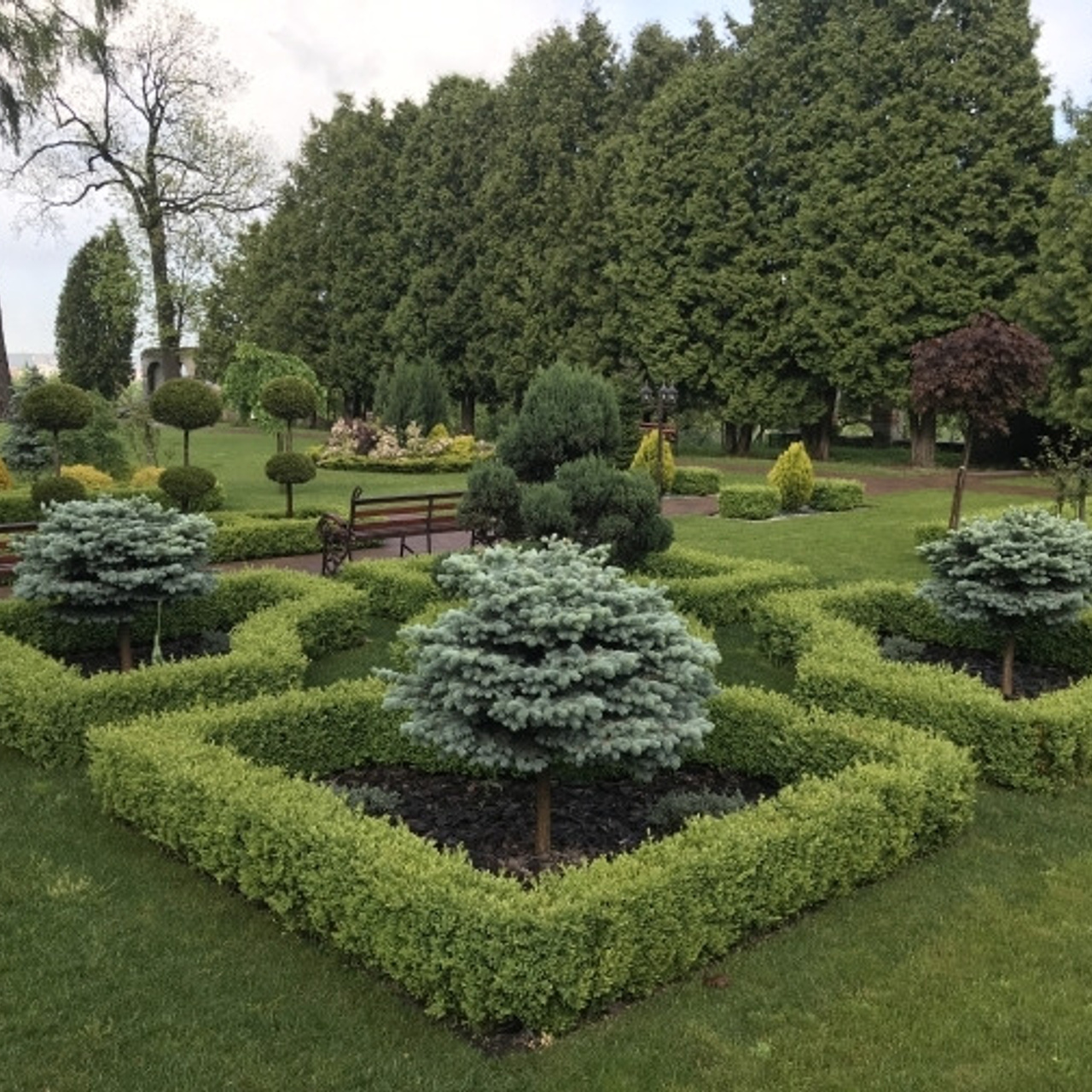 Локації. Весільний фотограф Львів Оля Грабовенська