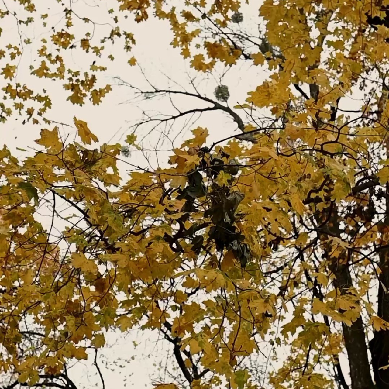 Відгуки. Семейный фотограф Екатерина Воробьева