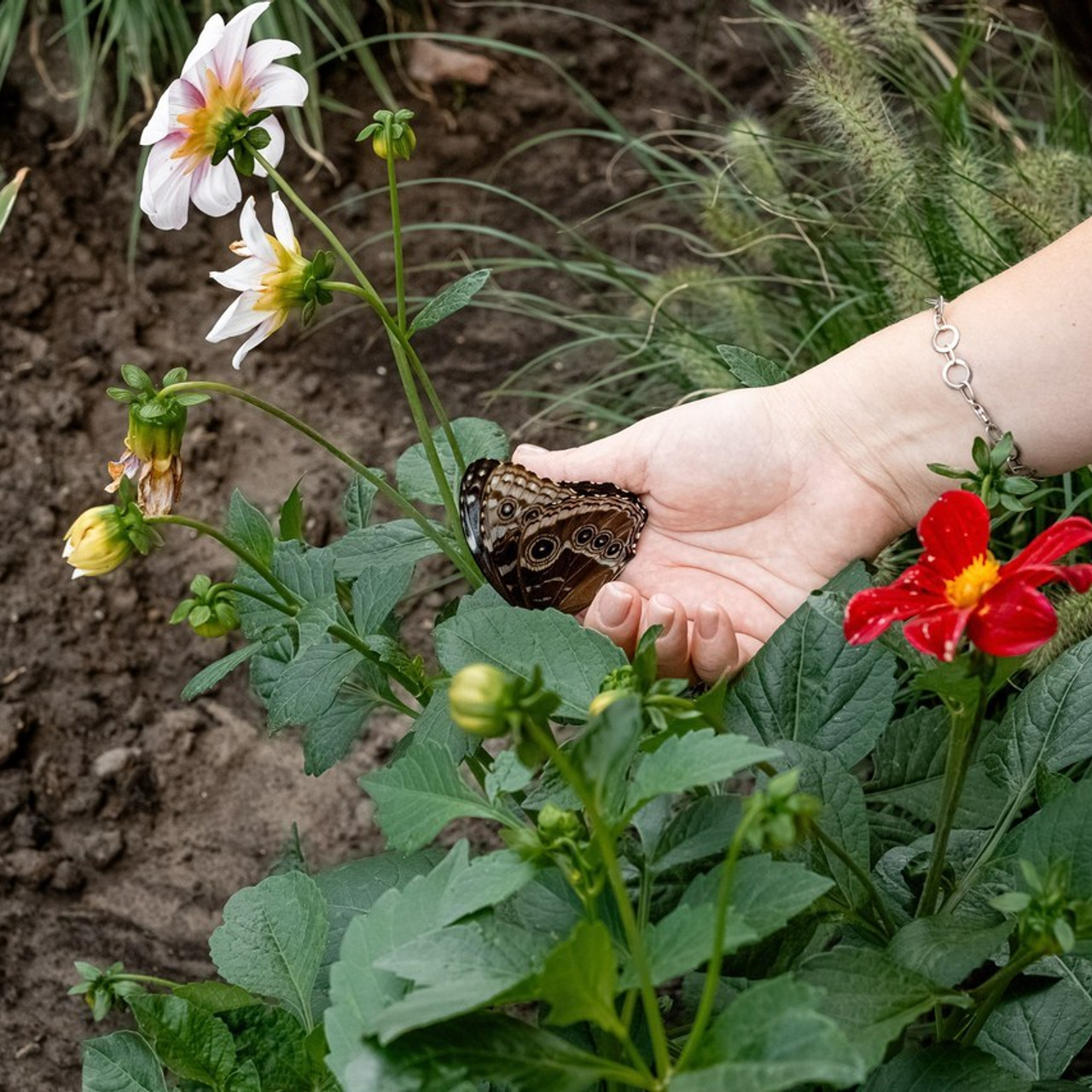 Відгуки. Дитячий та сімейний фотограф м.Бровари