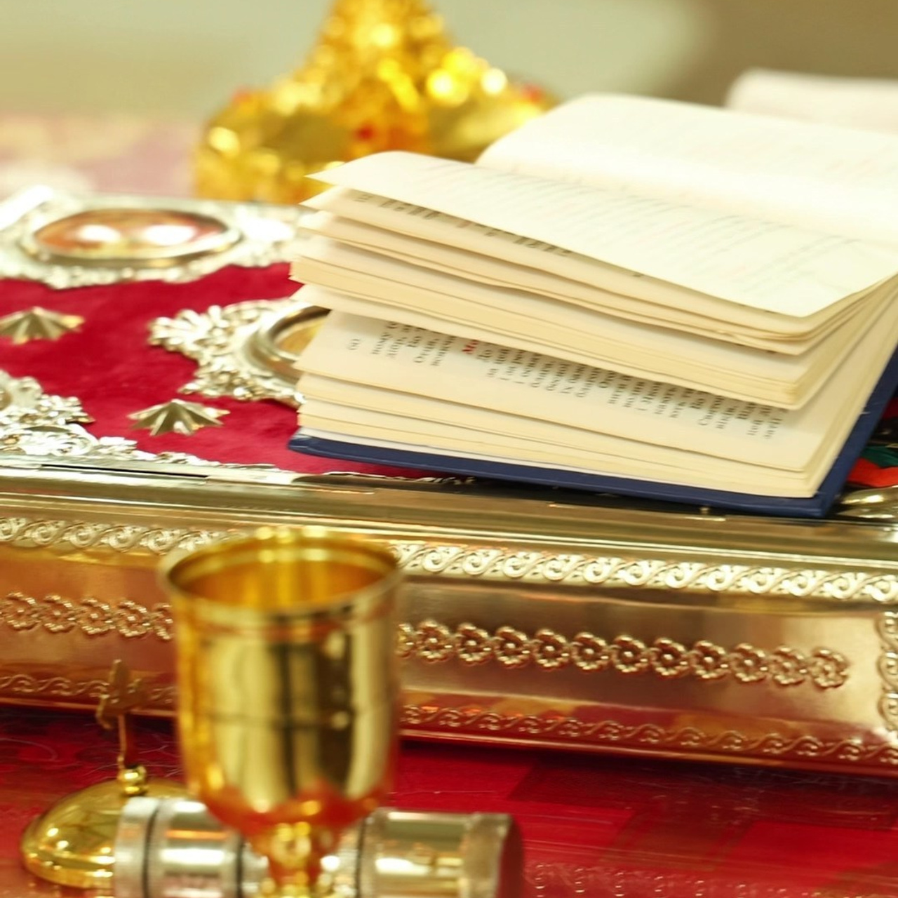 REVIEWS. Professional photographer stasya_stars