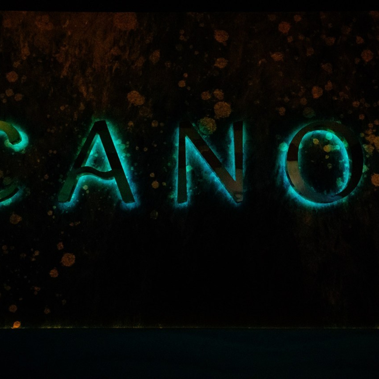 Opinie. Fotograf Warszawa Brwinów Pruszków Grodzisk Piaseczno Otwock Legionowo