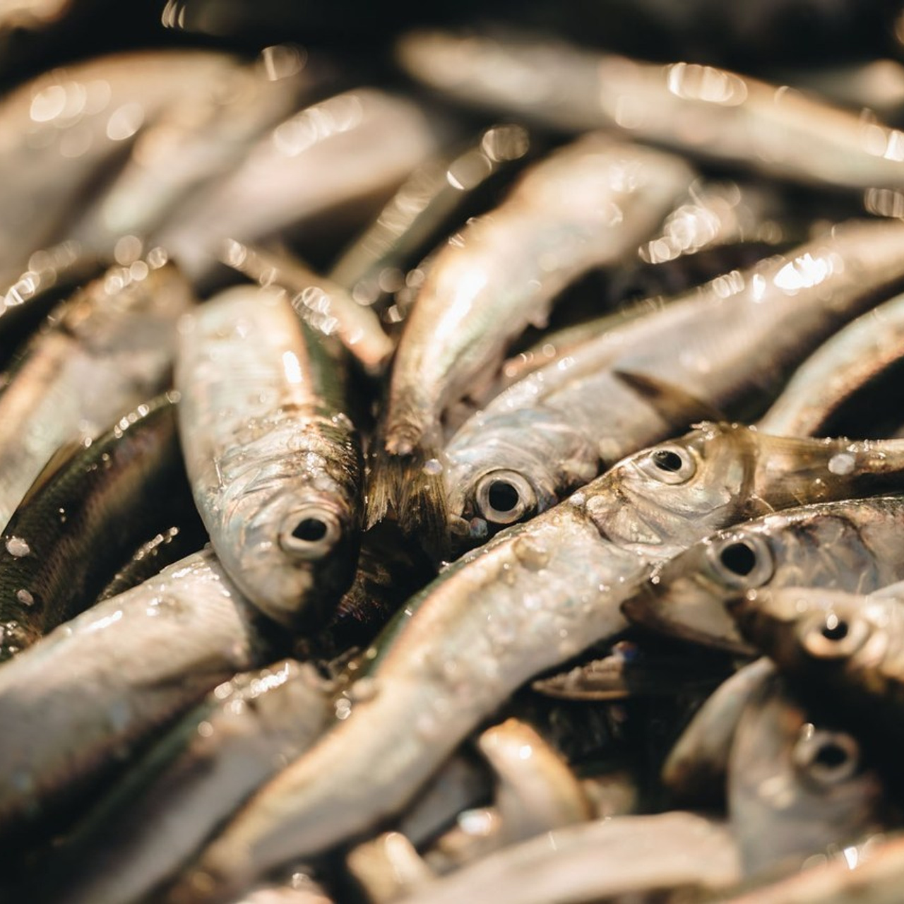 Feedback. Product and Food photography