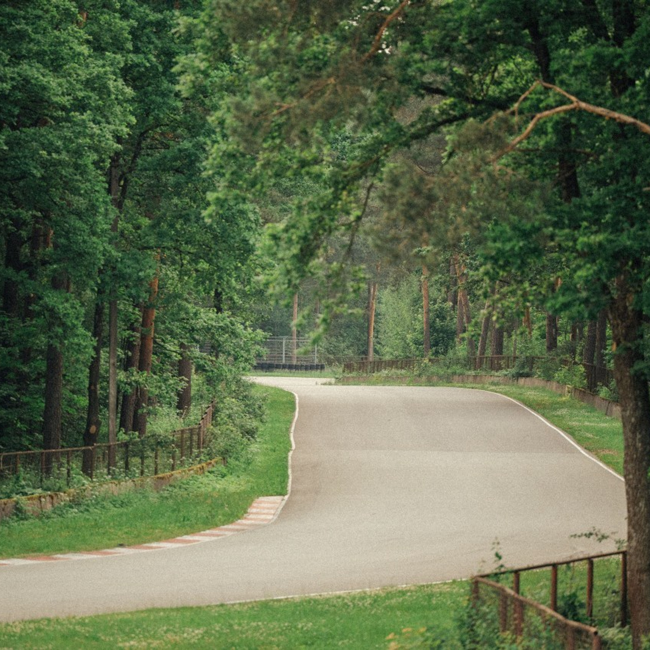 Feedback. Product and Food photography
