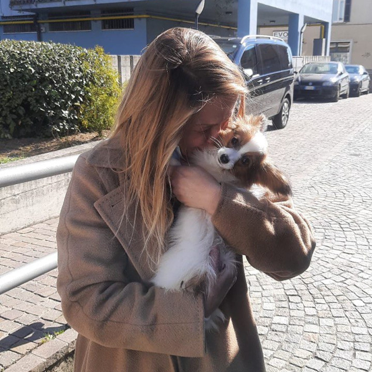 Отзывы клиентов. Почему нам доверяют перевозку своих питомцев. Перевозка, доставка домашних животных