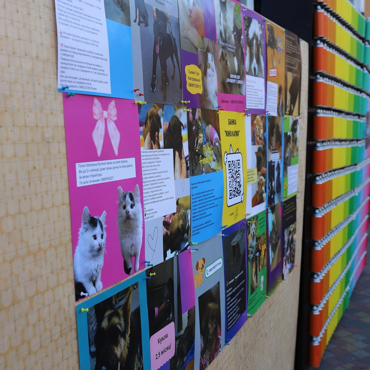 Отзывы. Фотограф Запорожье Лана Рудай