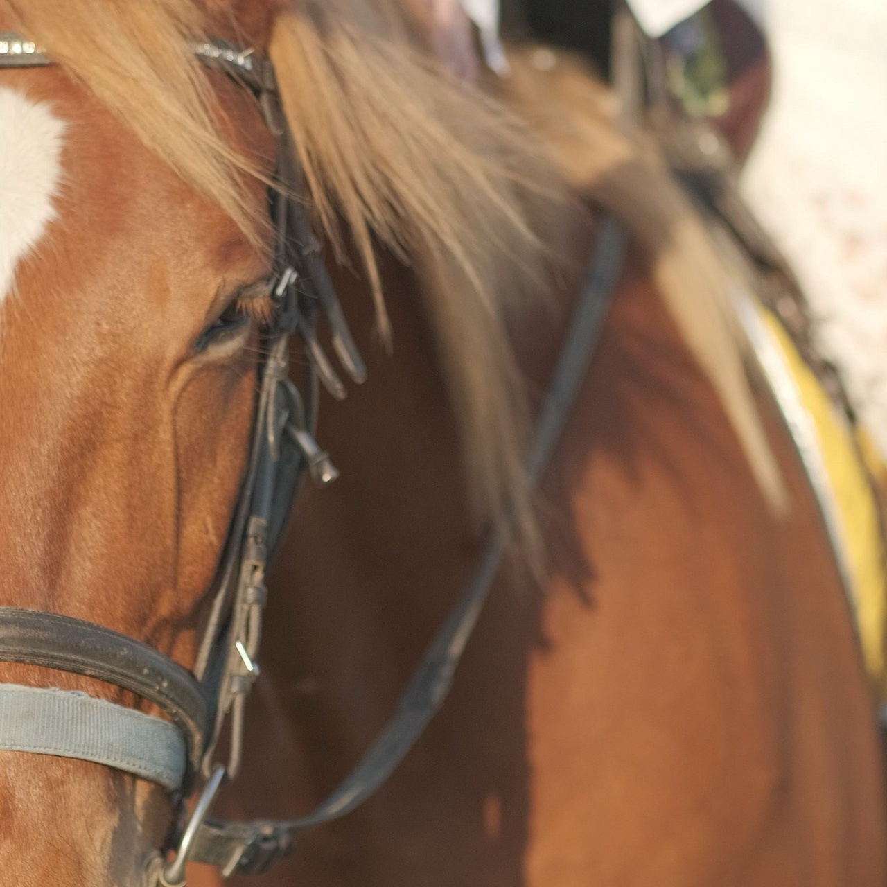 Відгуки. Весільна та інші різновиди відеозйомки