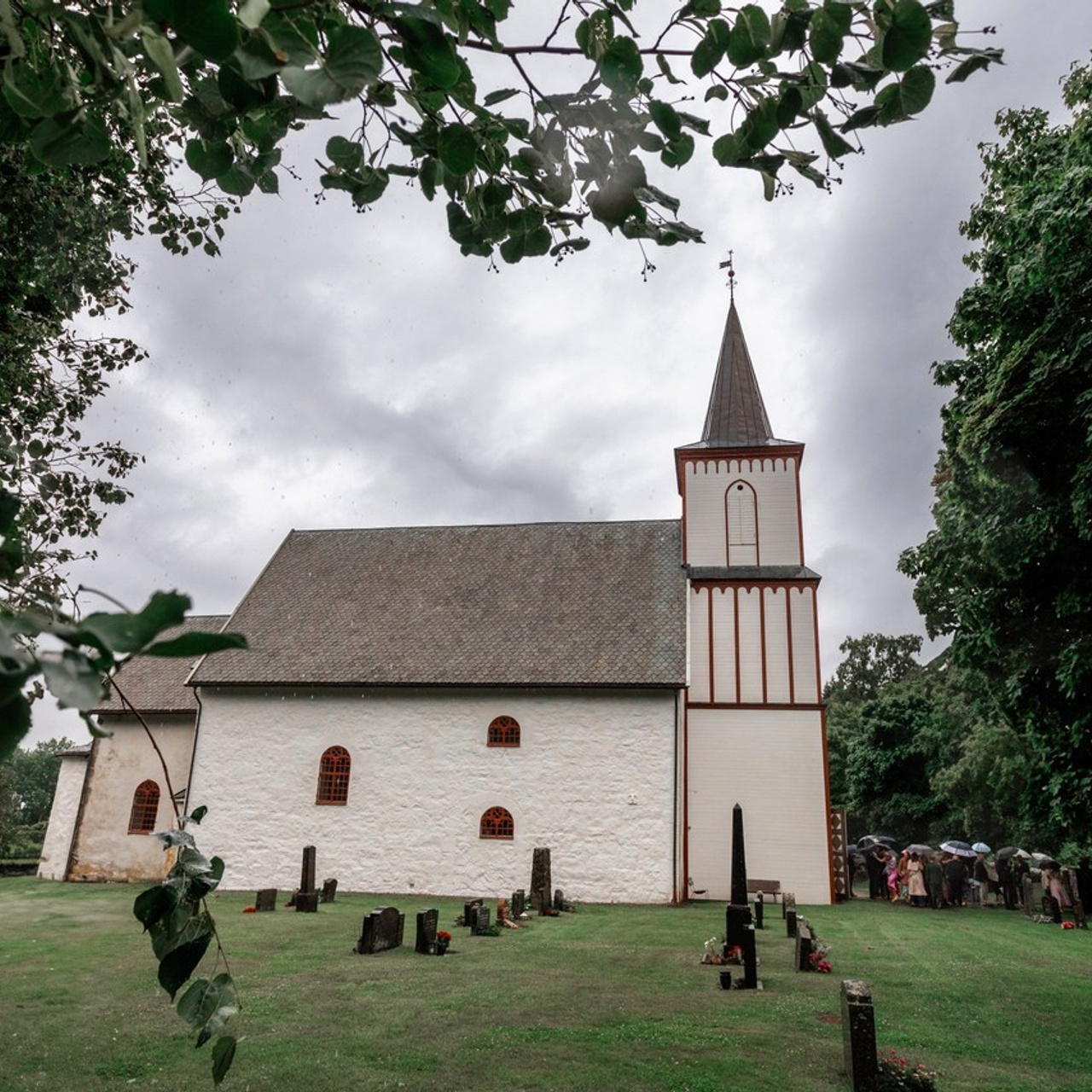 FEEDBACK. Wedding and family photographer in Kiev and Europe Oleg Nemchenko