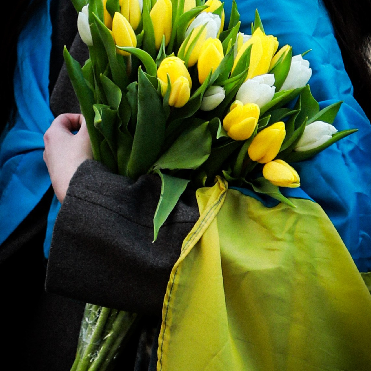 Друга річниця незламності. Дрезден. Наталя Твердохліб - дитячий та сімейний фотограф в Дрездені, Німеччина