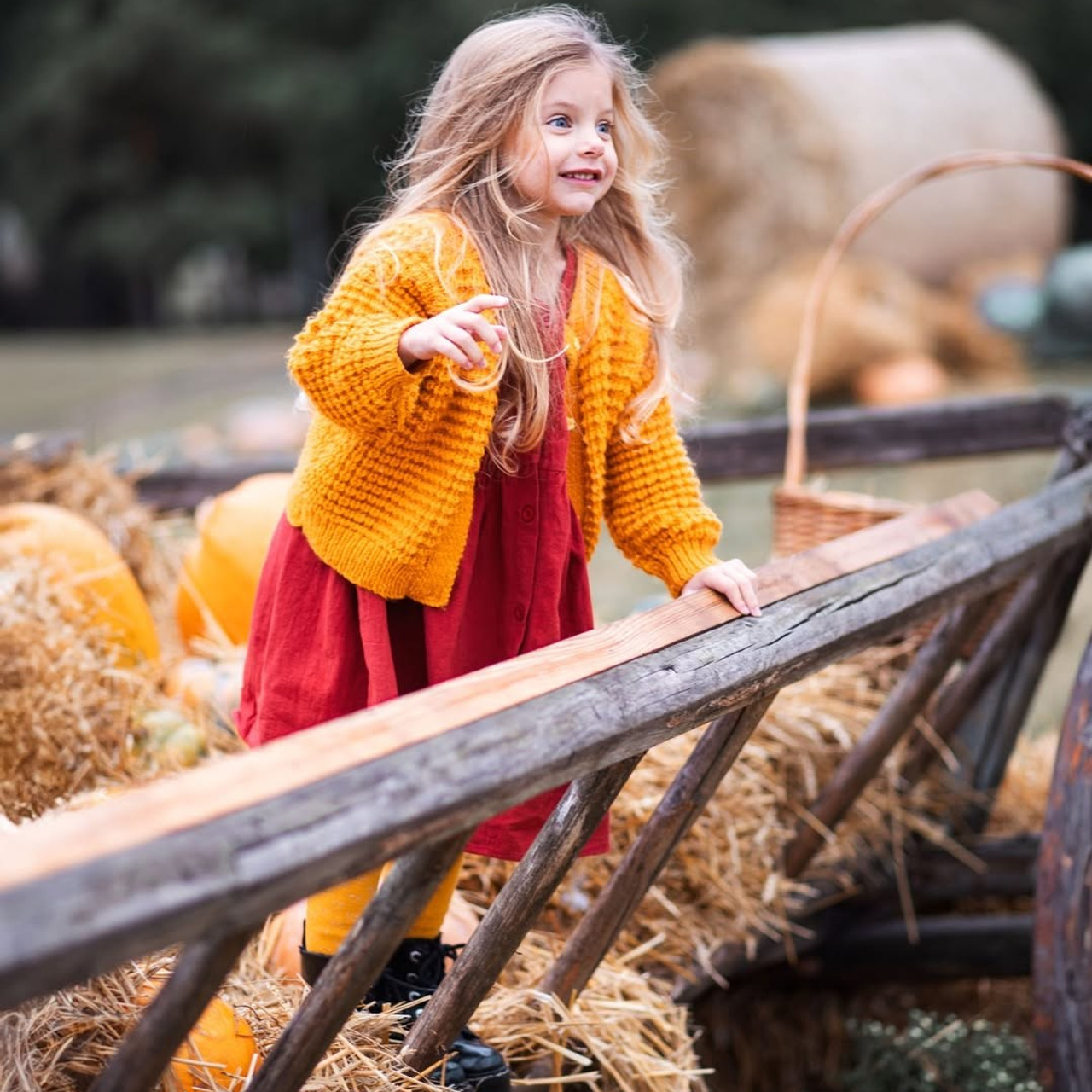 Осіння фотозйомка «Казкова осінь» з Даринкою