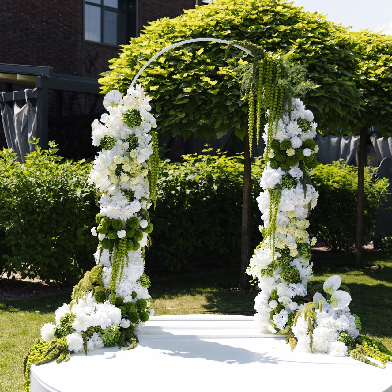 Відгуки. Весільний та сімейний фотограф Черкаси-Київ