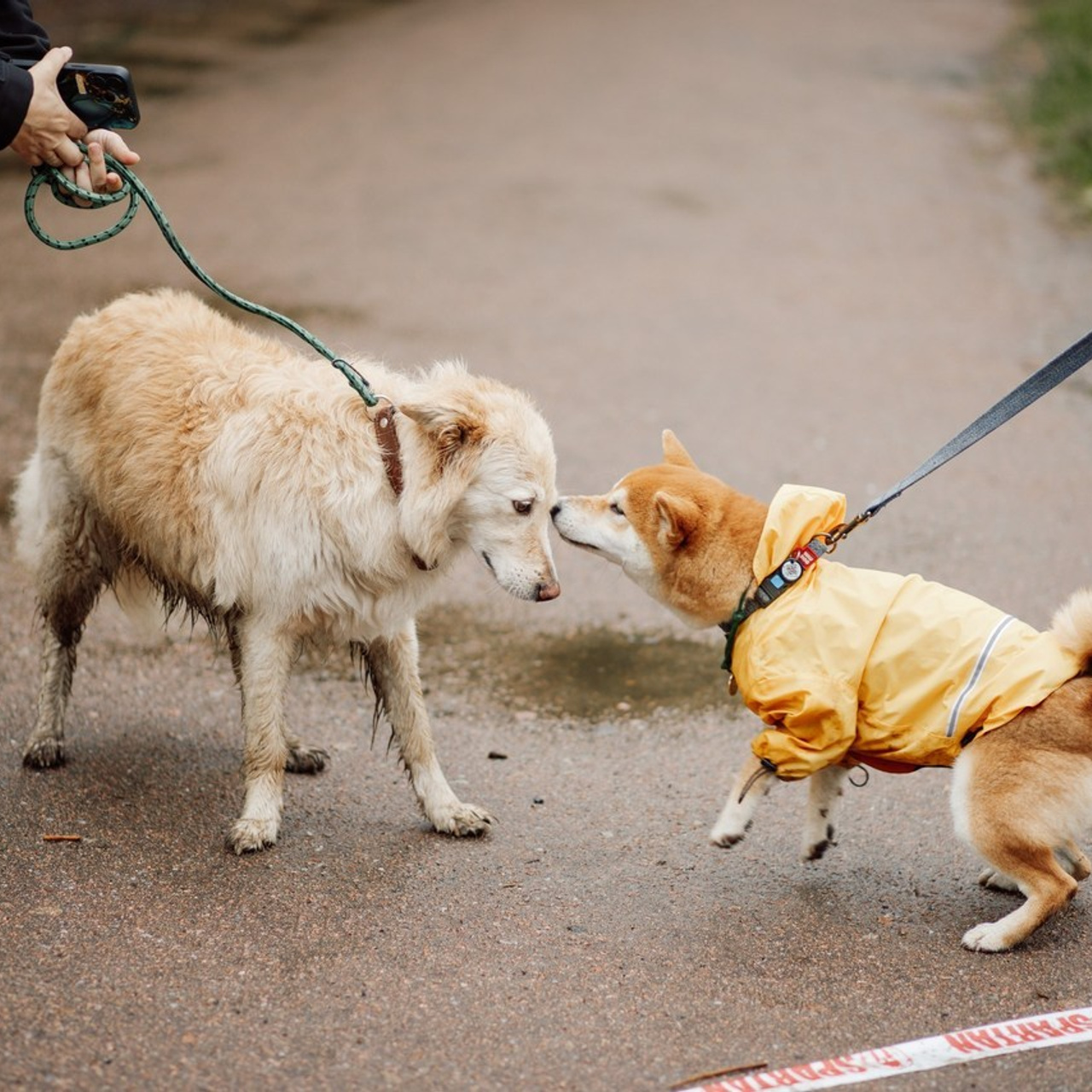 Відгуки. Фотограф в Білій Церкві