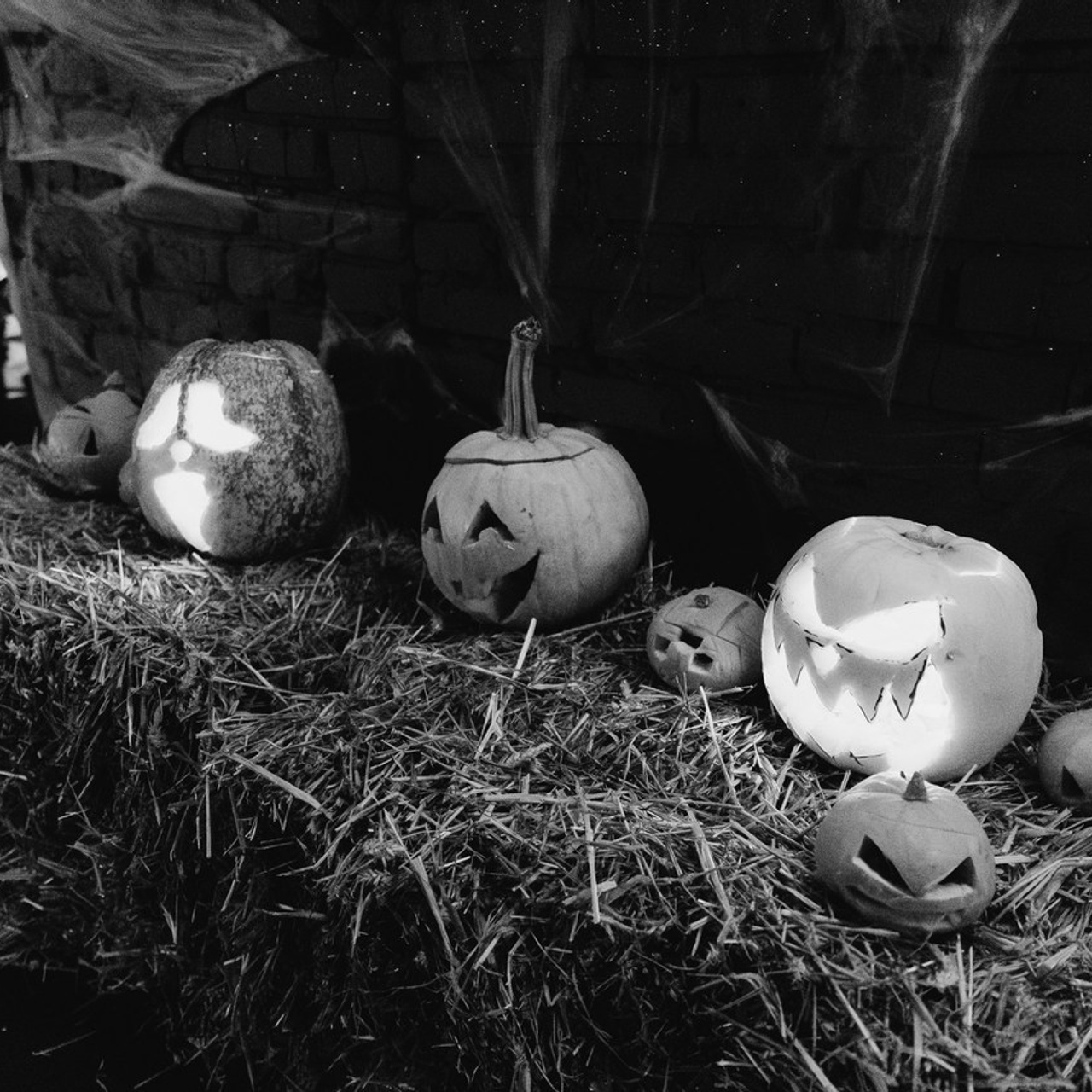 Відгуки. Олег Мельник Фотограф Винница