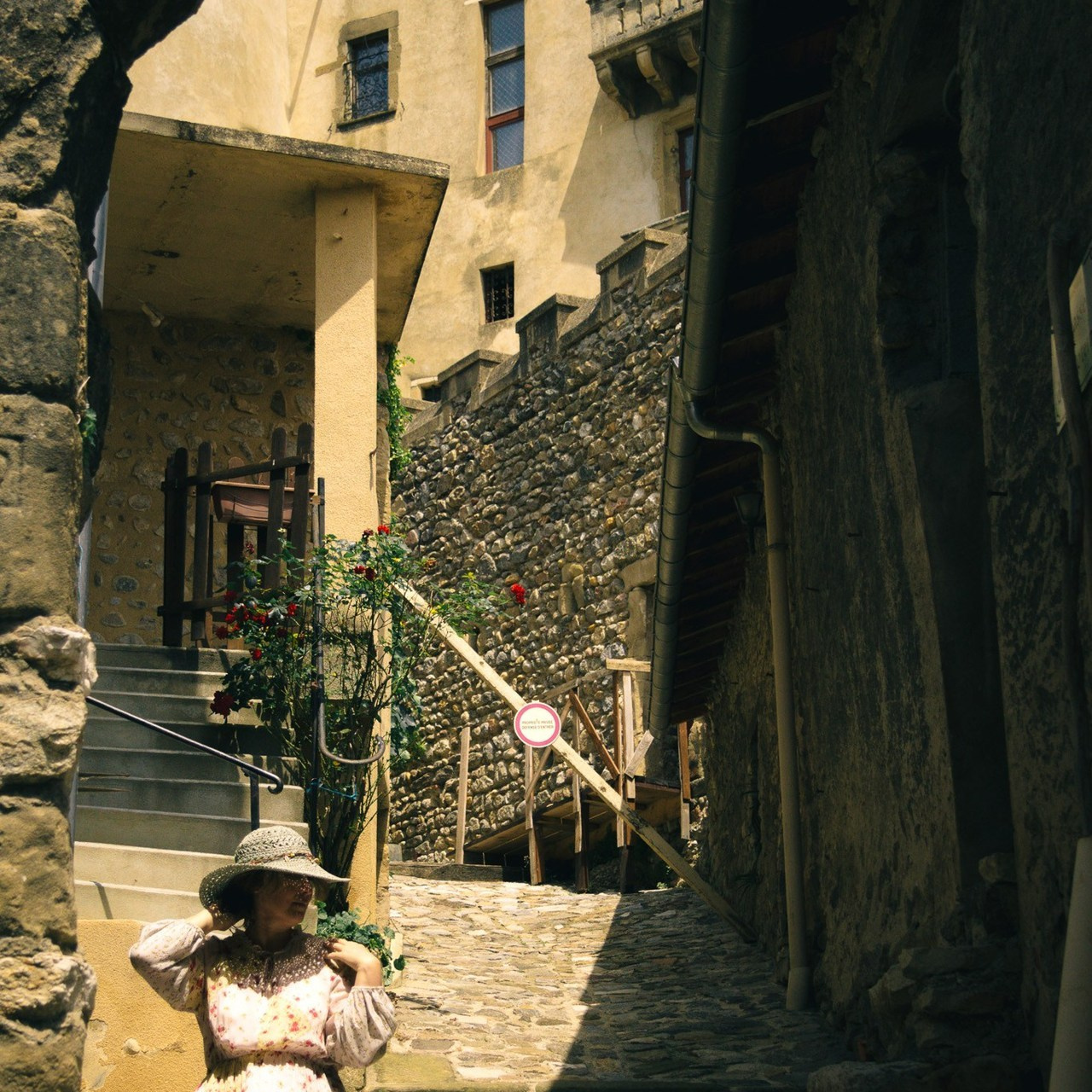 Professional Photography & Videography for Business — Lev Otinov