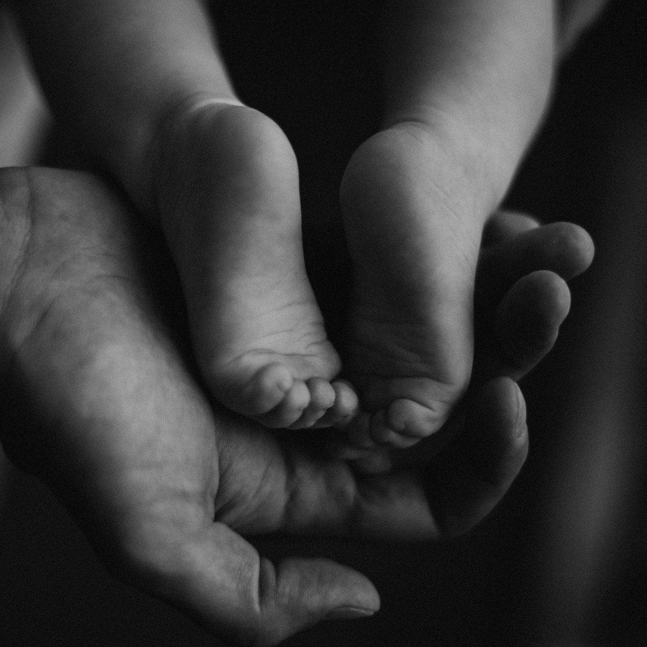 Feedback. Фотограф Бережна Юлія Прага