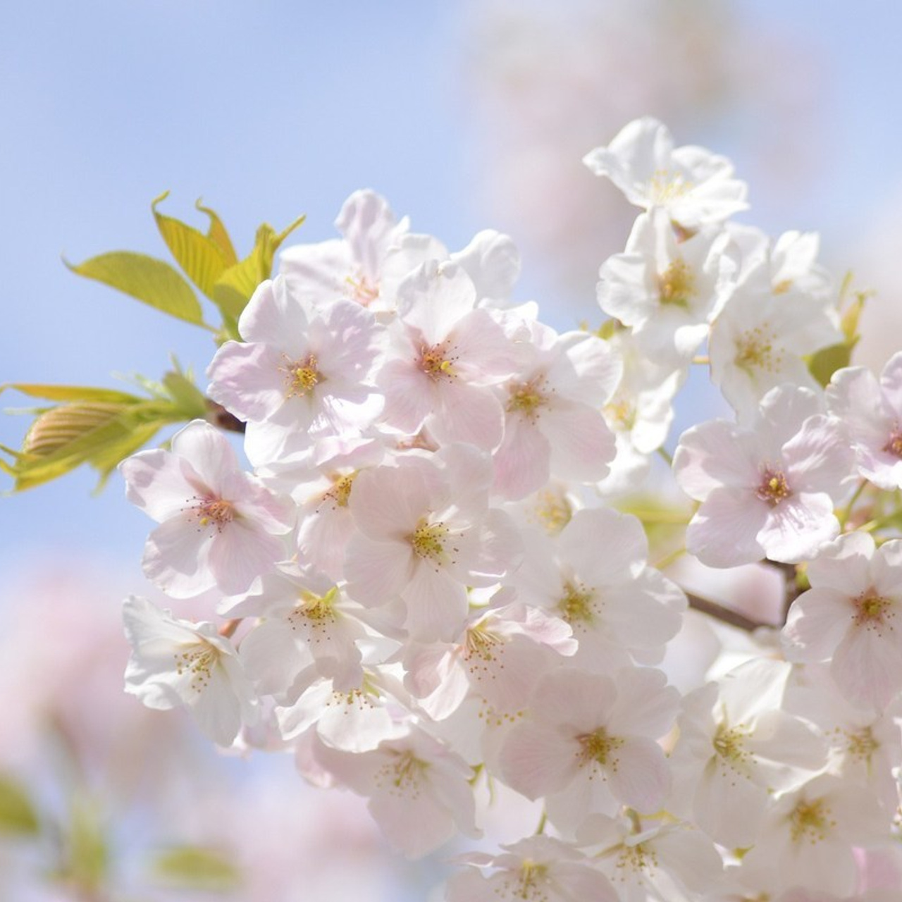Відгуки. Професійний фотограф в Києві Олена Зіненко