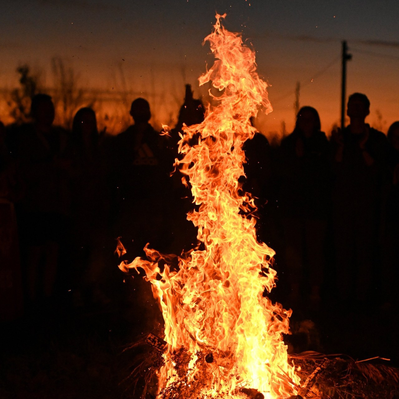 Отзывы. Фотограф Натали Кошевая _ Днепр, Подгородное