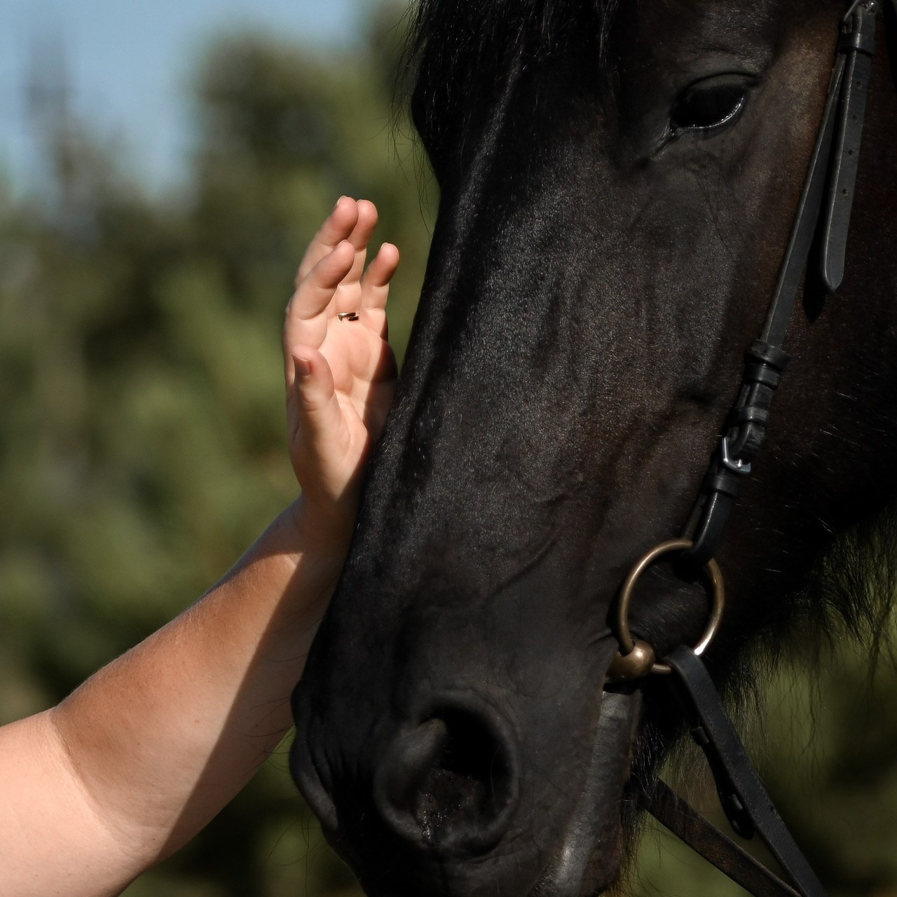 Отзывы. Фотограф Натали Кошевая _ Днепр, Подгородное