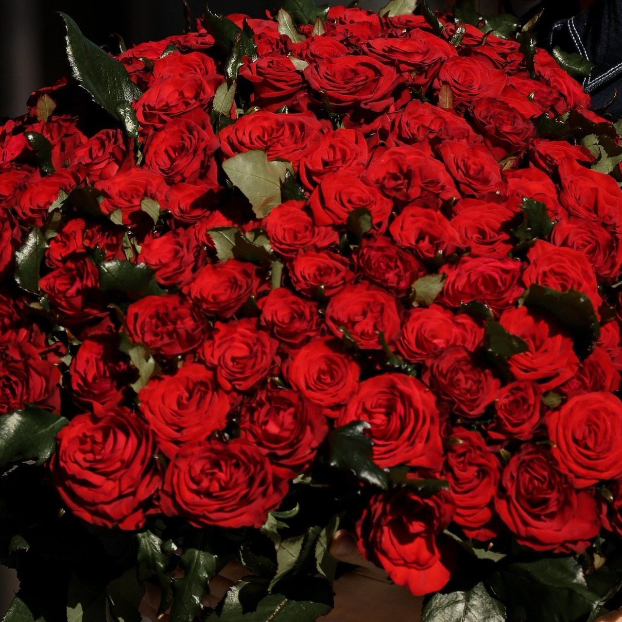 Отзывы. Фотограф Натали Кошевая _ Днепр, Подгородное