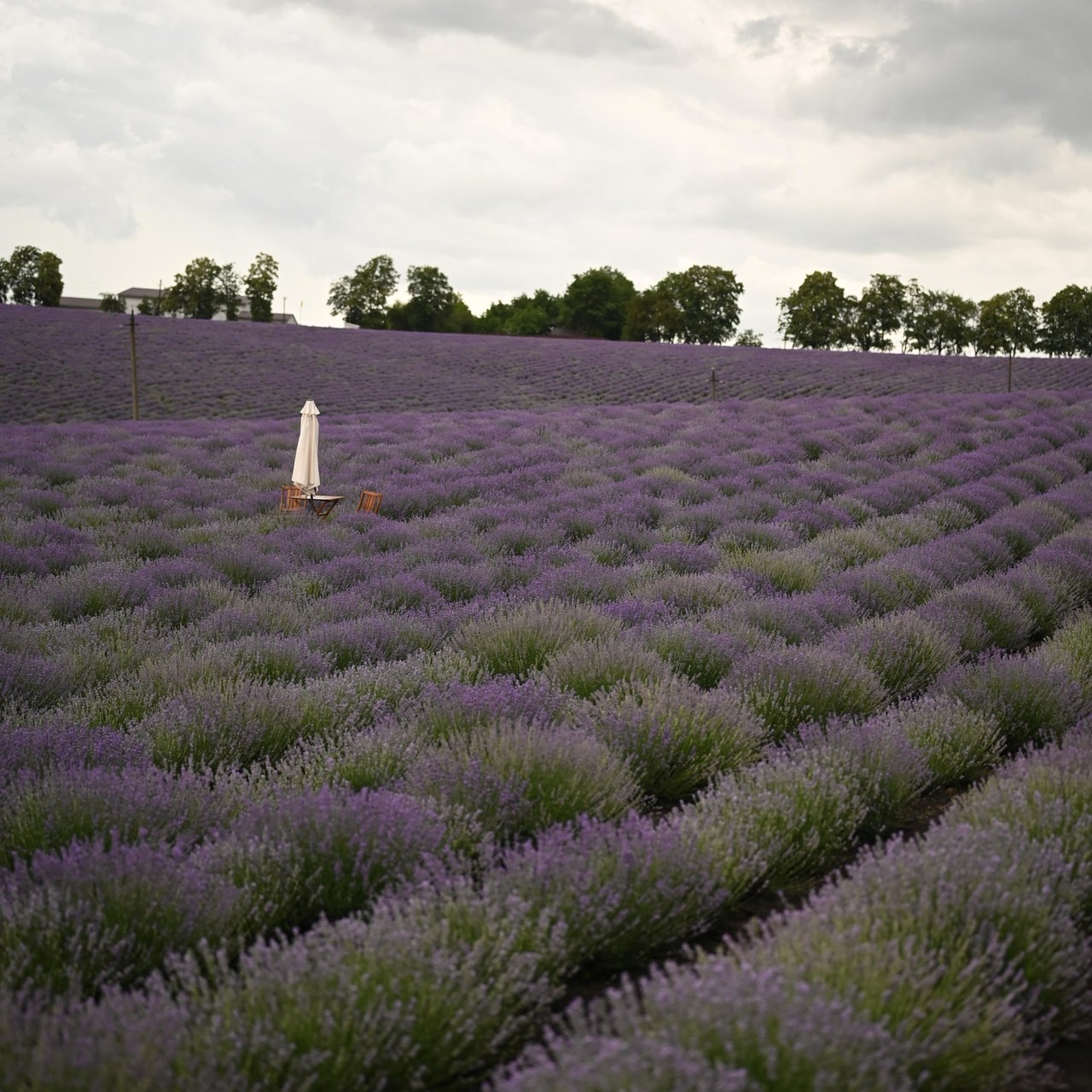 Відгуки. Фотограф Катерина Слободян Кам’янець-Подільський