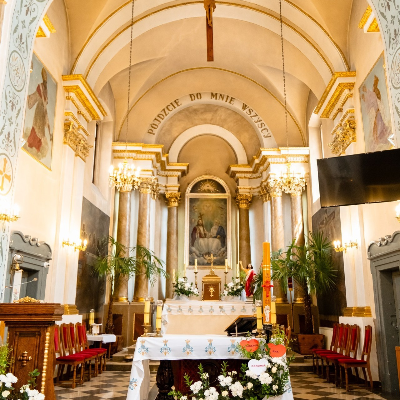 Відгуки. Плотиця Олександр. Весільний та сімейний фотограф