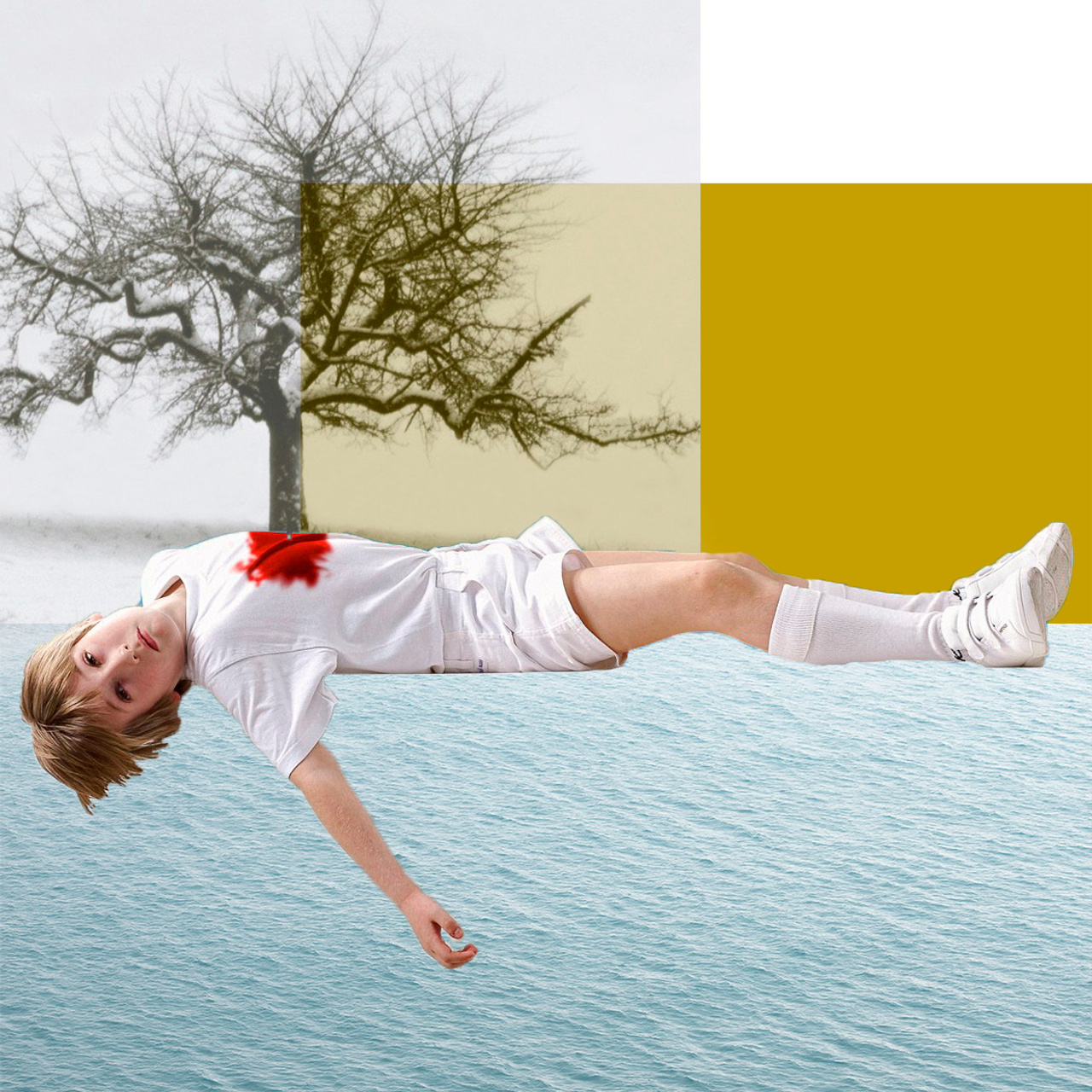 Collage. Люба Тернавская. Фотограф Иерусалим. Фотограф Израиль