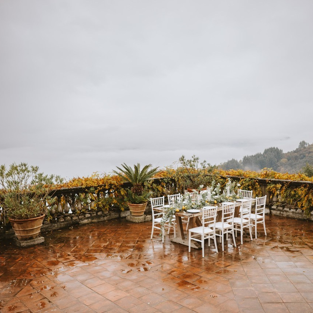 Client Reviews — Wedding & Portrait Photography in Florence, Tuscany & Italy | Kutsan Photography. Wedding Photographer in Florence, Pisa & Tuscany | Candid & Elegant Photography in Italy