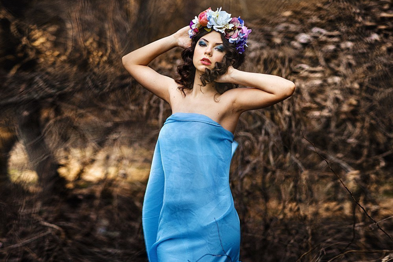 Spring Melody In The Forest