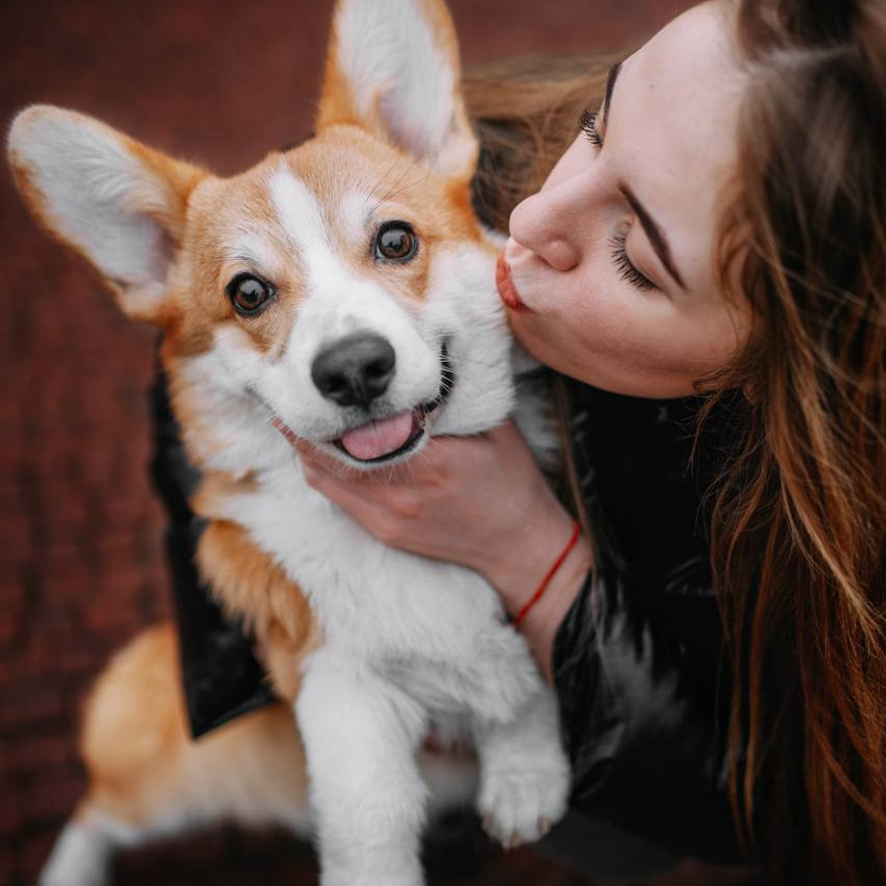 Відгуки. Фотограф-анімаліст Київ