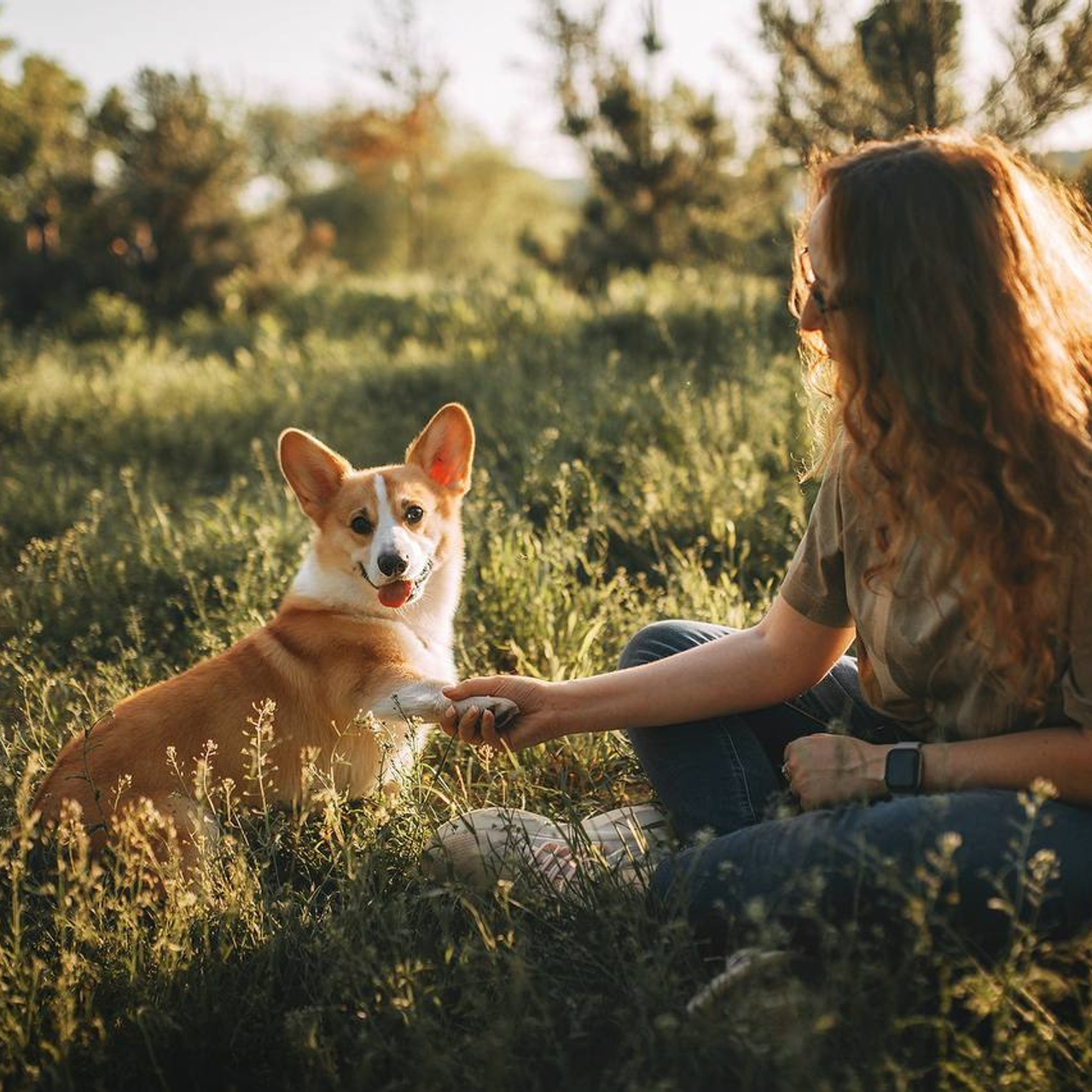 Відгуки. Фотограф-анімаліст Київ