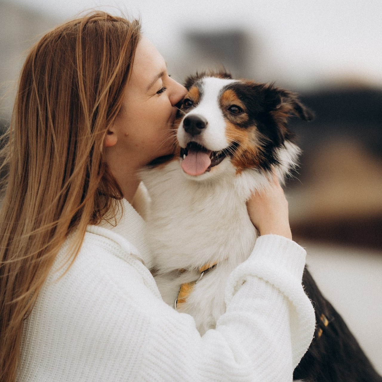 Відгуки. Фотограф-анімаліст Київ