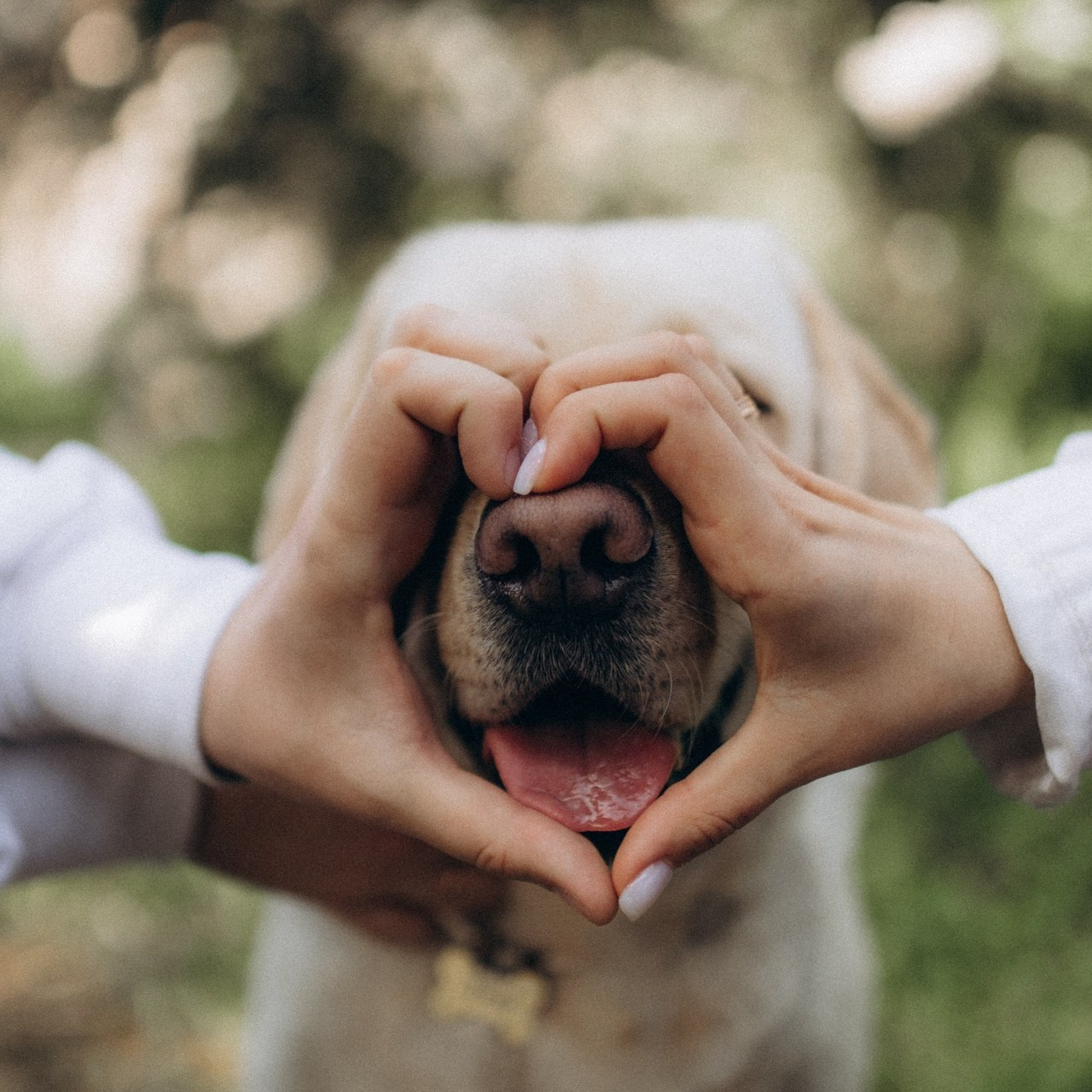 Відгуки. Фотограф-анімаліст Київ