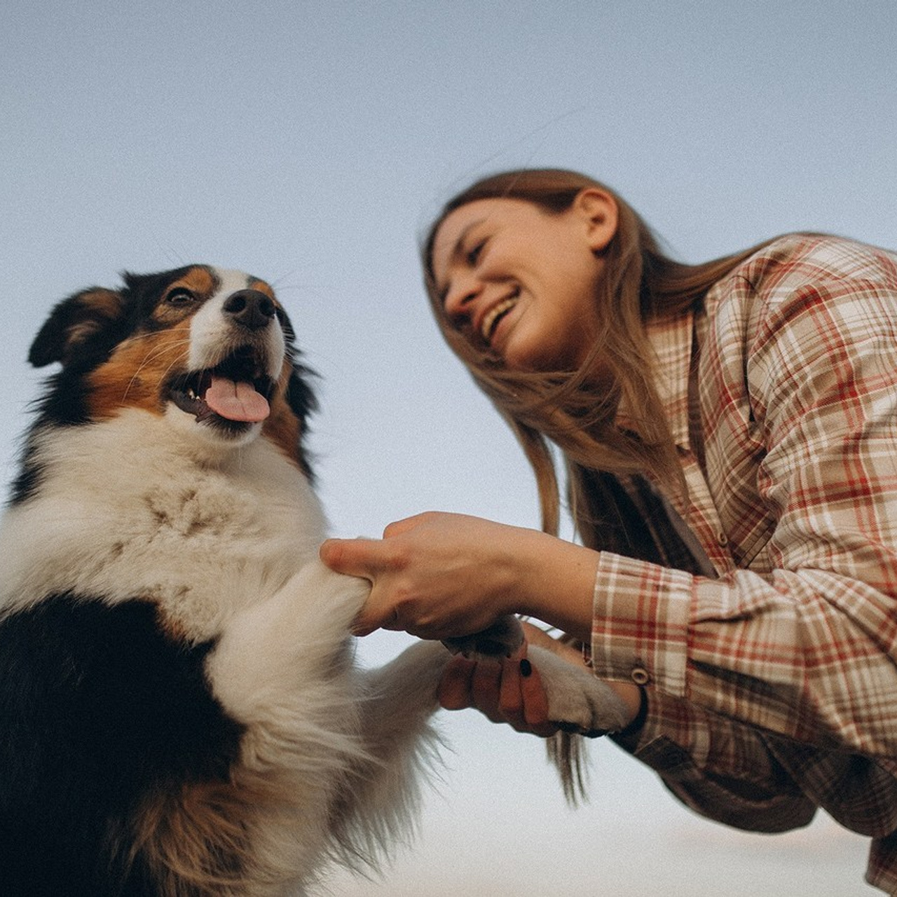 Відгуки. Фотограф-анімаліст Київ