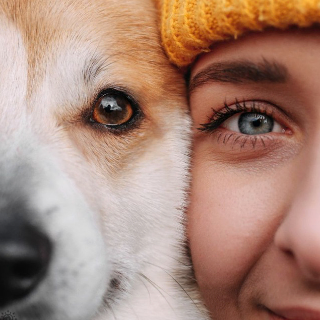 Відгуки. Фотограф-анімаліст Київ