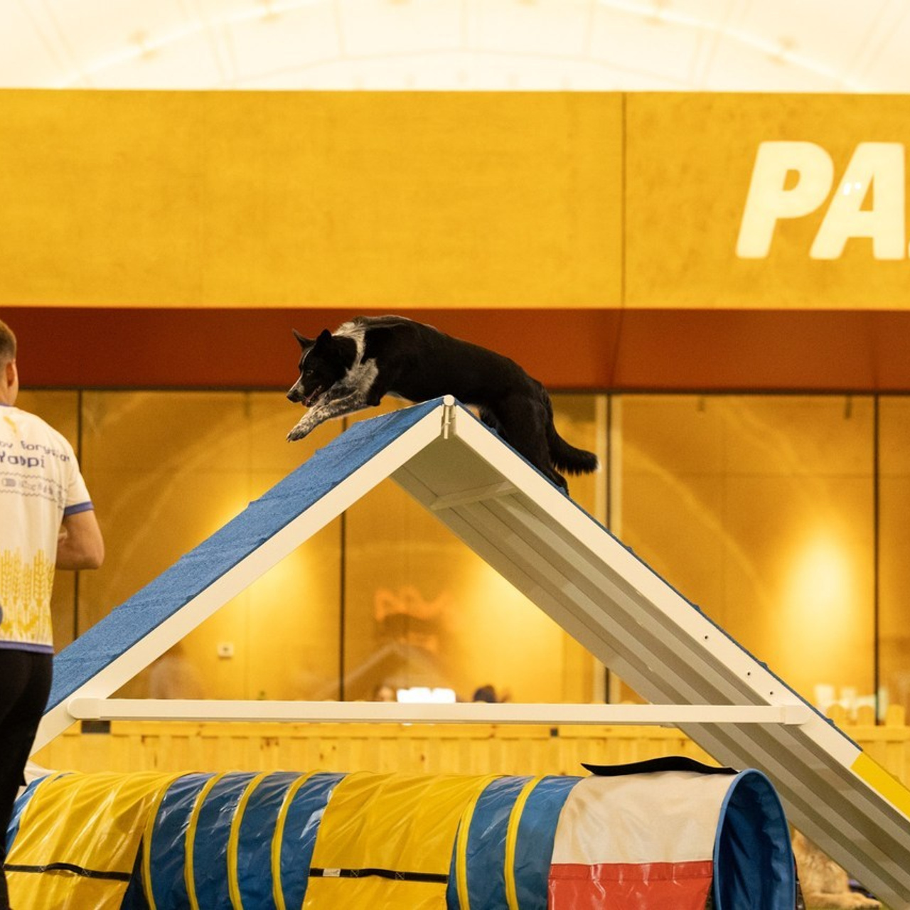 Відгуки. Фотограф-анімаліст Київ