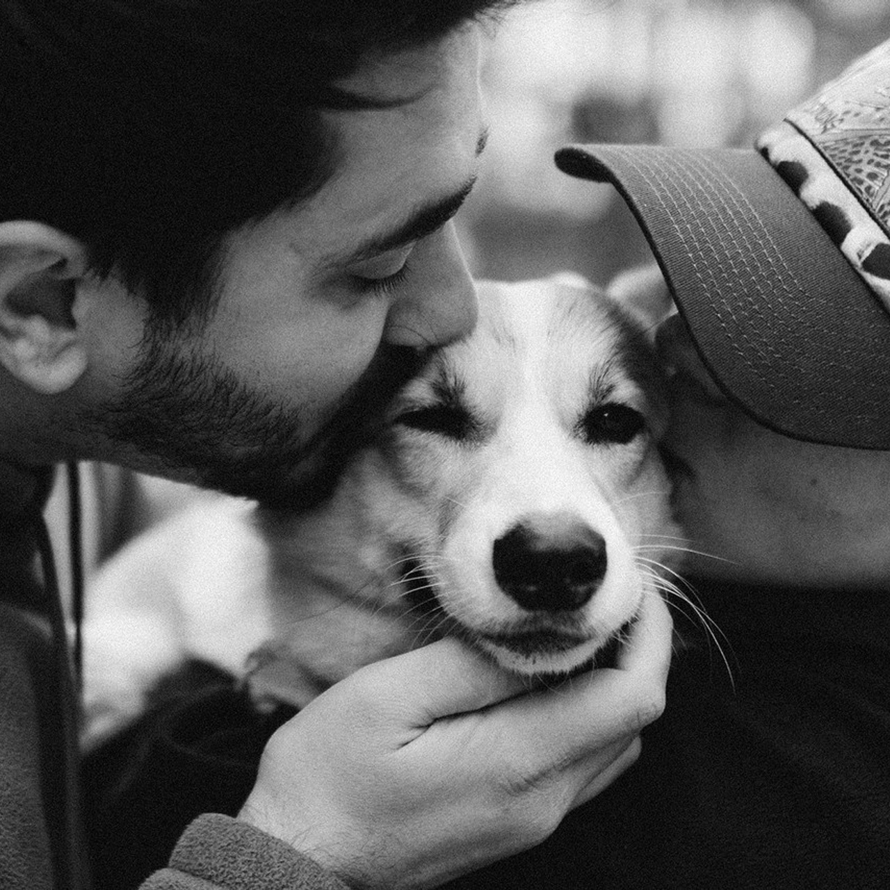 Відгуки. Фотограф-анімаліст Київ